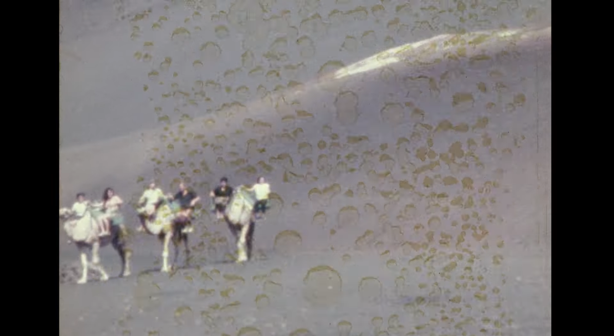 En camello por las Montañas del Fuego en VIDEOS 